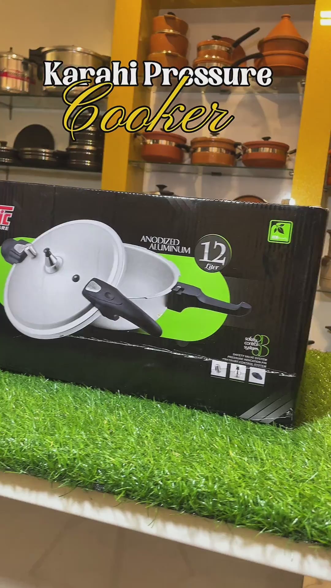 Elite Wok 12 Ltr Cooker with Glass